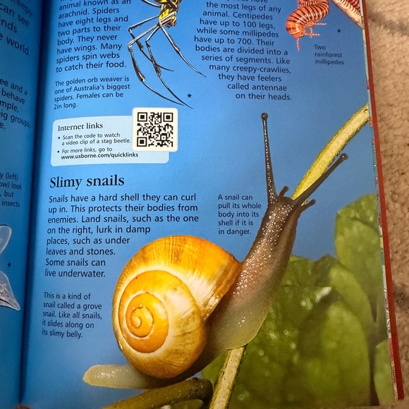 Usborne Children's Encyclopedia - Blue Cover - Picture 4 of 6